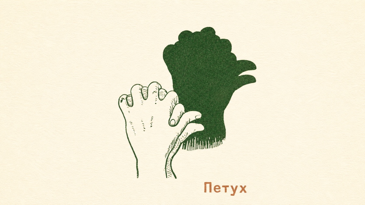 Театр теней — иллюстрация 5
